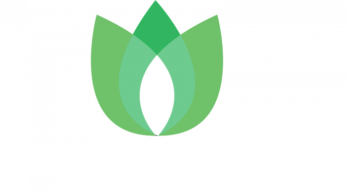 Agency Ray